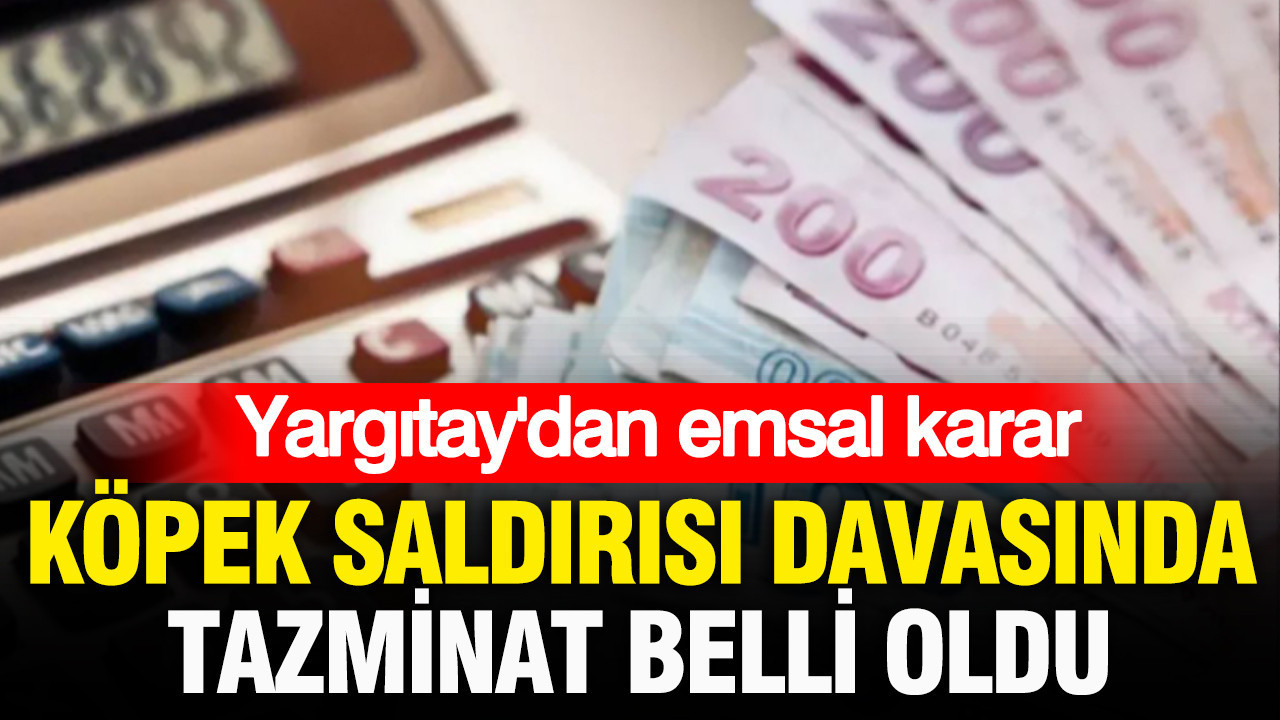 Yargıtay’dan emsal karar: Köpek saldırısı davasında tazminat belli oldu